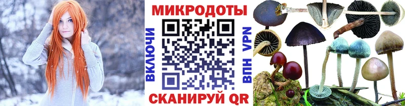 Галлюциногенные грибы Psilocybine cubensis  Нижнеудинск 