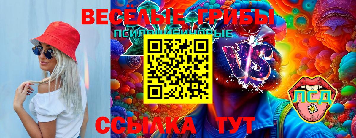 Нижнеудинск  Галлюциногенные грибы Cubensis  Псилоцибиновые грибы мухоморы  Вход с VPN 